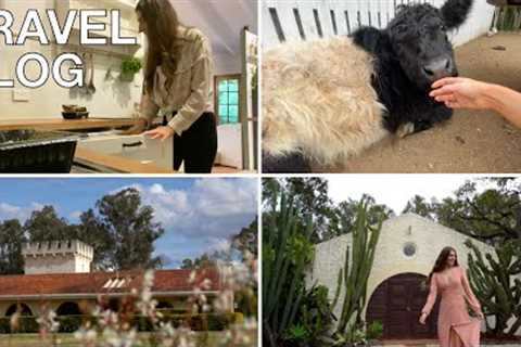 What we Eat when Traveling? | Escaping to a Country Castle - Farm Stay with the CUTEST animals #Ad