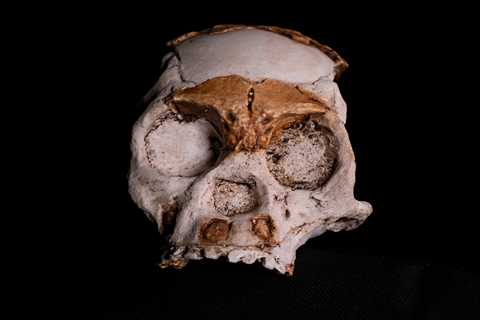 An extinct species buried their dead and carved symbols 100,000 years before humans. The findings challenge our understanding of human evolution, researchers say.