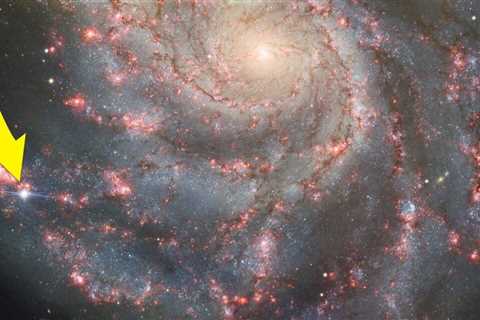 A supernova that exploded in a nearby galaxy is one of the brightest in a decade. Here's how to see it.