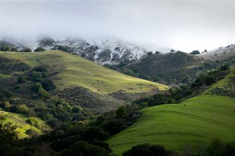 Explore Your City: 5 Well-Loved Parks in Fremont, CA