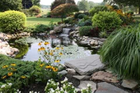 What Is a Certified Wildlife Habitat? Pros and Cons of Certifying Your Home