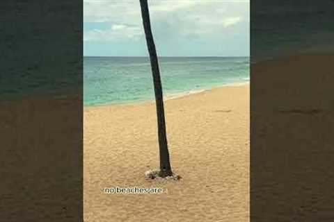 Get beach front in Hawaii in the low $300's! | Kina Knisley