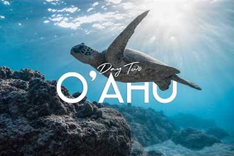 O'ahu, Hawaii | Day Two  - Pearl Harbor Memorial, Dole Plantation, Laniakea Beach, and Shark's Cove.