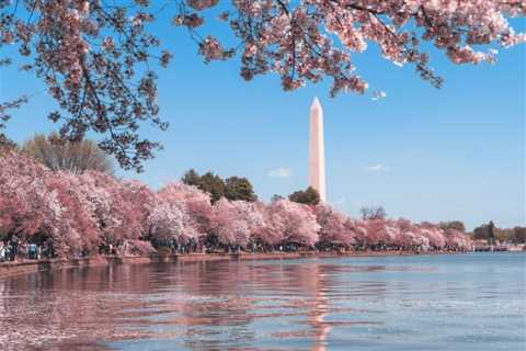 Best Date Night Ideas in DC: 13 Ways to Explore Your New City
