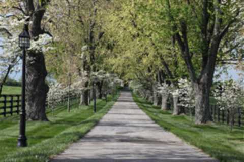 8 Beautiful Places to Visit in Lexington, KY, That Locals Rave About