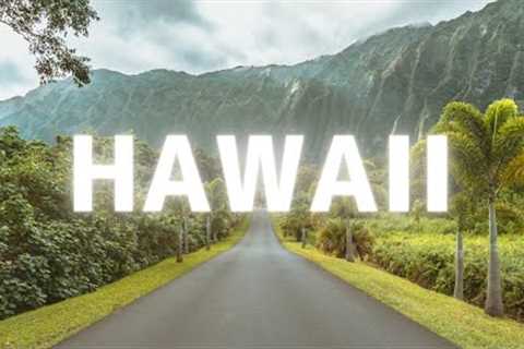 Hawaii Vacation Vibes  - chill &amp; relax , stress relief , sleep