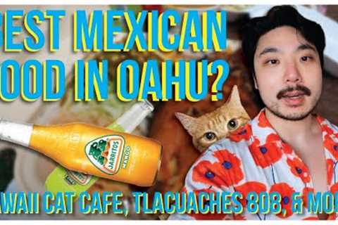 Hawaii Cat Cafe, Tlacuaches 808, Cuckoo Coconuts, &amp; More! | OAHU, HAWAII | VLOG DAY 3
