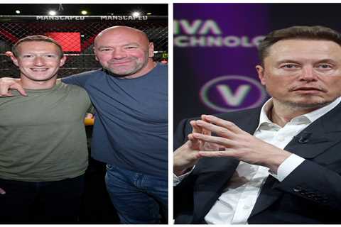 Elon Musk accepts UFC champion Georges St-Pierre's offer to train him for potential Mark Zuckerberg fight