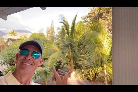 Maui Hidden Gems! Lahaina Right near Front St Home For Sale