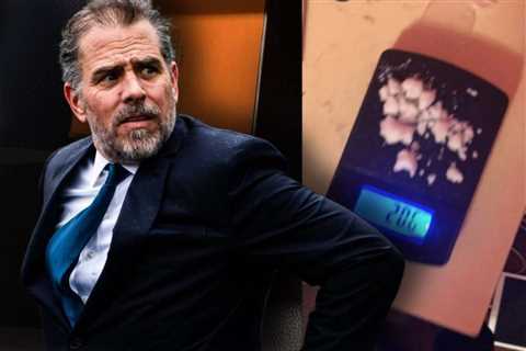 THIS Is Getting Interesting: Secret Service to Scour Security Footage to Find Out When Dime-Sized Bag of Cocaine was Placed in West Wing of Biden White House (VIDEO)