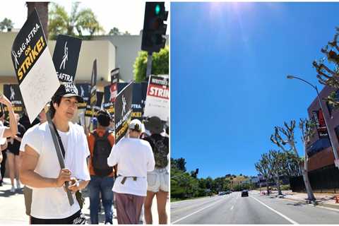 LA officials are investigating NBC Universal for trimming trees that provided shade to striking writers and actors