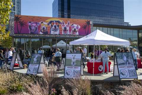 16 Can’t Miss Events in Stamford: A Local’s Guide