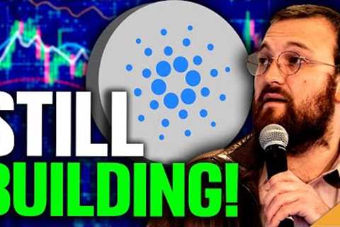Cardano A Top Mover This Bull Market?