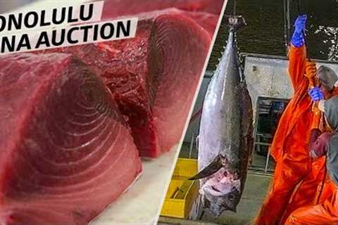 How America's Only Tuna Auction Is Run — Omakase