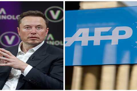 French media giant AFP is suing Twitter over payments for news distribution. Elon Musk almost immediately called the lawsuit 'bizarre.'