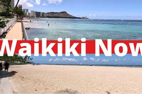 What the BEACH in front of your WAIKIKI hotel ACTUALLY looks like | OAHU
