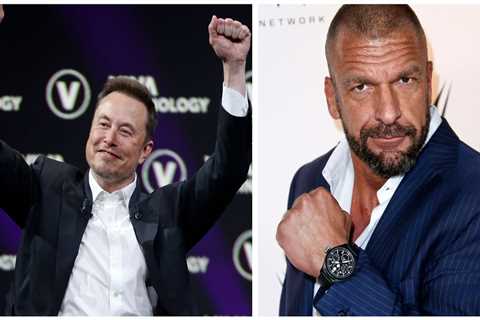 WWE star Triple H appears to offer Elon Musk advice for potential cage fight with Mark Zuckerberg