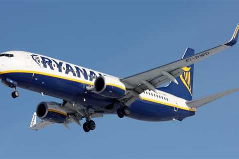 A Ryanair flight was forced to divert mid-air after a drunk family argument erupted into violence, report says