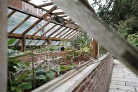 8 Key Considerations When Building a Backyard Greenhouse