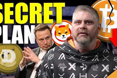 Elon COLLAPSES Bitcoin COMPLETELY (And SAVED My Crypto Trading Career)