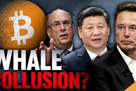 Was This Crypto Crash PLANNED?