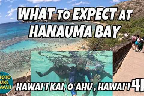 What to Expect at Hanauma Bay August 3, 2023 Oahu Hawaii Snorkeling