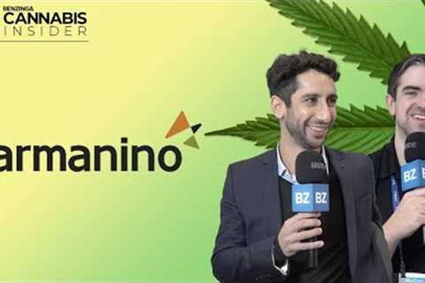 Streamlining Your Cannabis Business | Benzinga Cannabis Insider