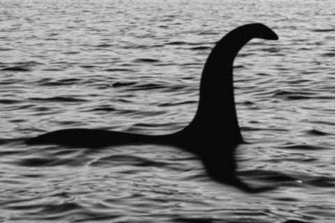 200 monster hunters armed with drones join the biggest search in 50 years for Scotland's fabled Loch Ness creature