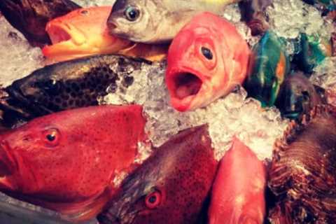 Not Just a Drop in the Ocean: China Bans Sale of Japanese Seafood Over Fukushima Radioactive Water Release Into the Pacific – Tokyo to File Appeal at the World Trade Organization