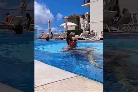 The Best Waikiki Pool and What to Expect for Waikiki Pools