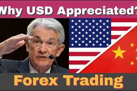💰Why Does USD Go Up? Forex Trading for Beginners