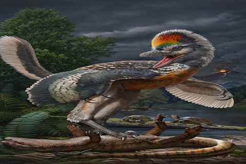 Scientists uncover a 'bizarre' leggy dinosaur unlike anything seen before, and it could rewrite the history of bird evolution