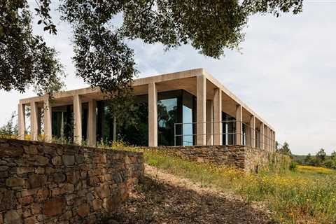 After a Devastating Fire, a Couple Craft a Spartan House From Concrete and Glass