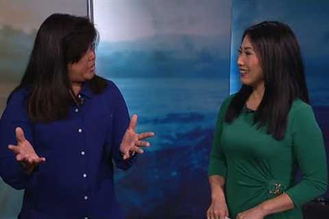 Honolulu Board of Realtors talks Hawaii home-buying trends