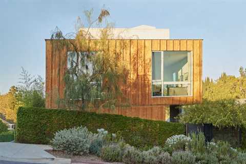 In Echo Park, an Odd Little Property Turns Into an Urban Tree House