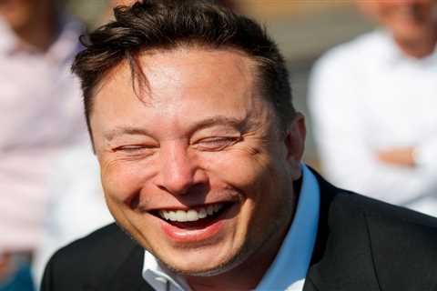 Mr Nice guy: Elon Musk was originally going to be named after the French city where he was conceived, biography says