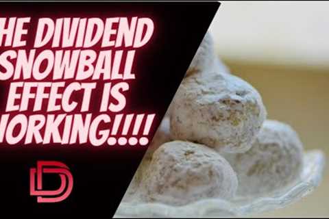 The Dividend SnowBall Effect and Compound Interest With Dividend Portfolio