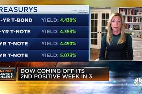 Hightower's Stephanie Link explains why investors have to learn to live with higher rates