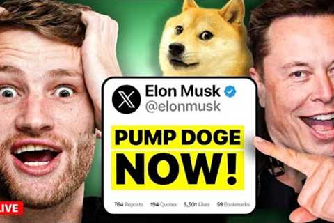 I Have Opened A $200,000 DOGE Position. (HERE'S WHY)