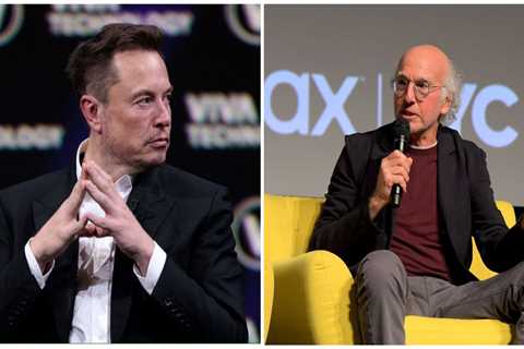 Comedian Larry David confronted Elon Musk at a wedding about voting Republican: 'Do you just want to murder kids in schools?'