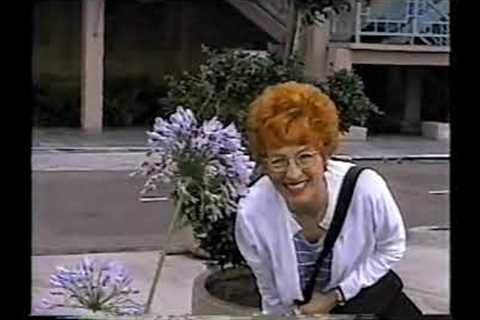 GLENDA'S EXCITEMENT IN SEEING THE PACIFIC OCEAN, THE EXCITEMENT OF SOMEONE BORN IN THE EAST.