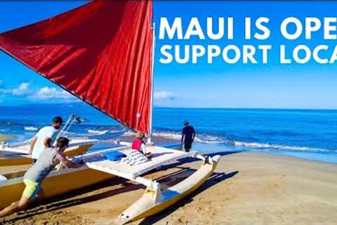 Before You Go to Maui, Here is How to Support Local
