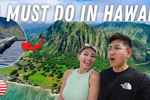 This is a must do in HAWAII! Experience of a LIFETIME! 🇺🇸
