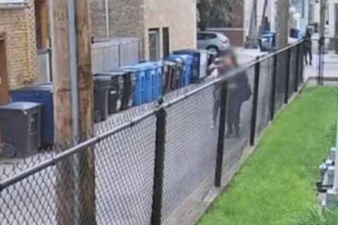 Chicago: Surveillance Video of Broad Daylight Robbery and Beatdown in Bucktown Neighborhood Sparks Community Outrage