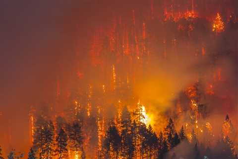 Natural Disasters in Oregon: What Homeowners and Renters Need to Know