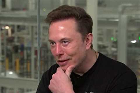 Elon Musk Confirms Firing of “Half of Election Integrity” Team at X…Including the Head of the Team