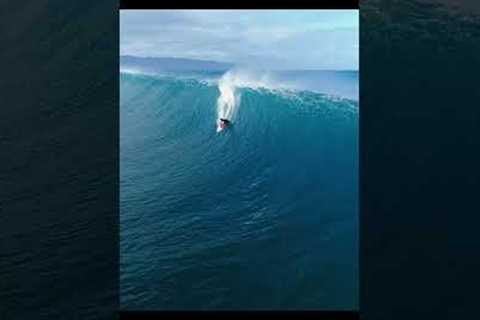 A Perfect Wave in Hawaii