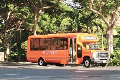 Taking A Hawaii Bus &amp; Walking Tour Of Honolulu Sites - Pearl Harbor / USS Missouri Ship &amp; Downtown