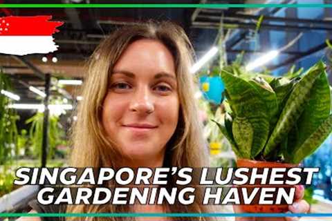SINGAPORE’S NEWEST PLANT MALL! // ELEVEN Floors Of Flora and Fauna AND a cafe too!!