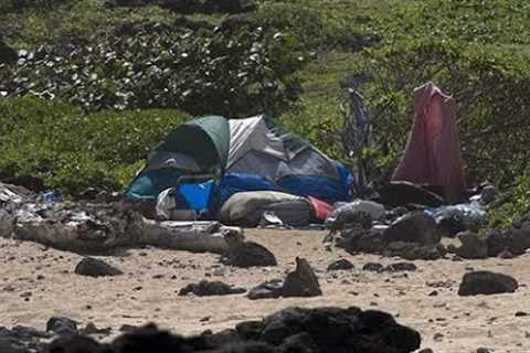 Maui Homeless ARE Everywhere Thanks to Fires - Large Landowners Ignored Brush Abatement